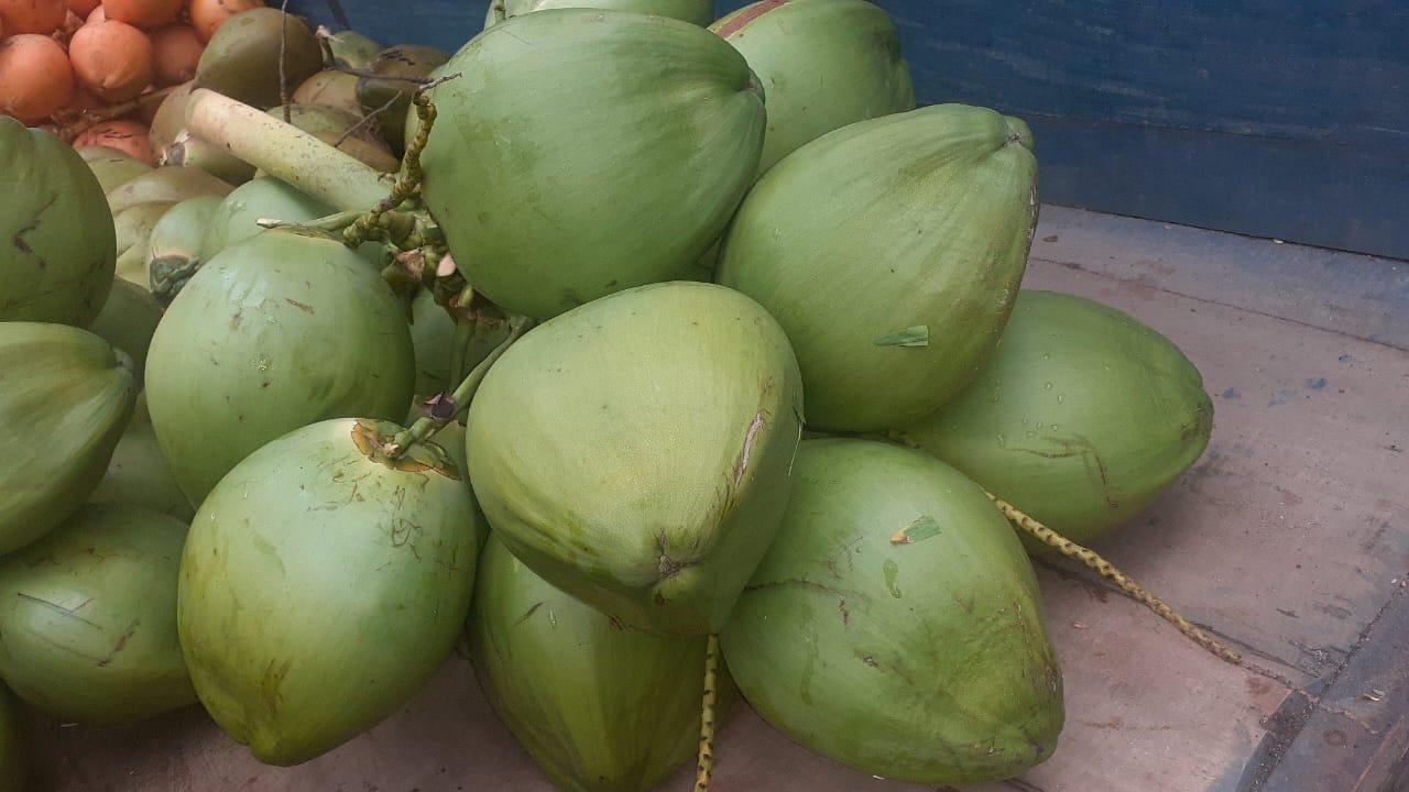 WhatsApp Image 2025-06-03 at 7.43.12 PM.jpeg